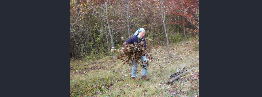 ramassage des feuilles