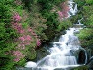 source d'eau en cascade