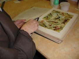 soeur en train de relier un livre